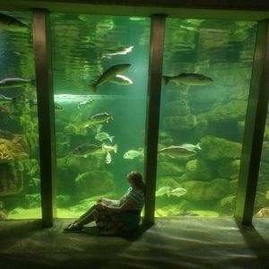 Meet your Posher, Porcelain